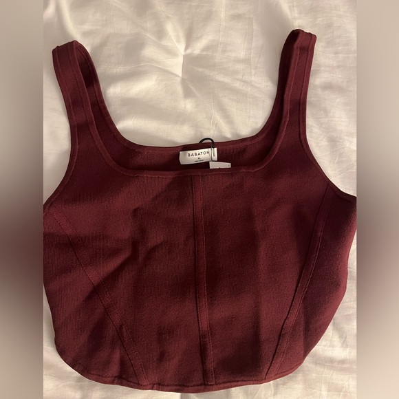 Aritzia Tops - Aritzia corset top